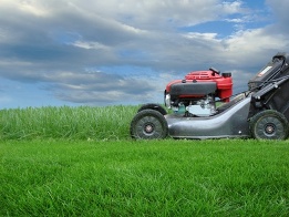 Lawn Mower - Lawnmowing Albury Wodonga