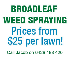 Broadleaf Weed Spraying Albury Wodonga